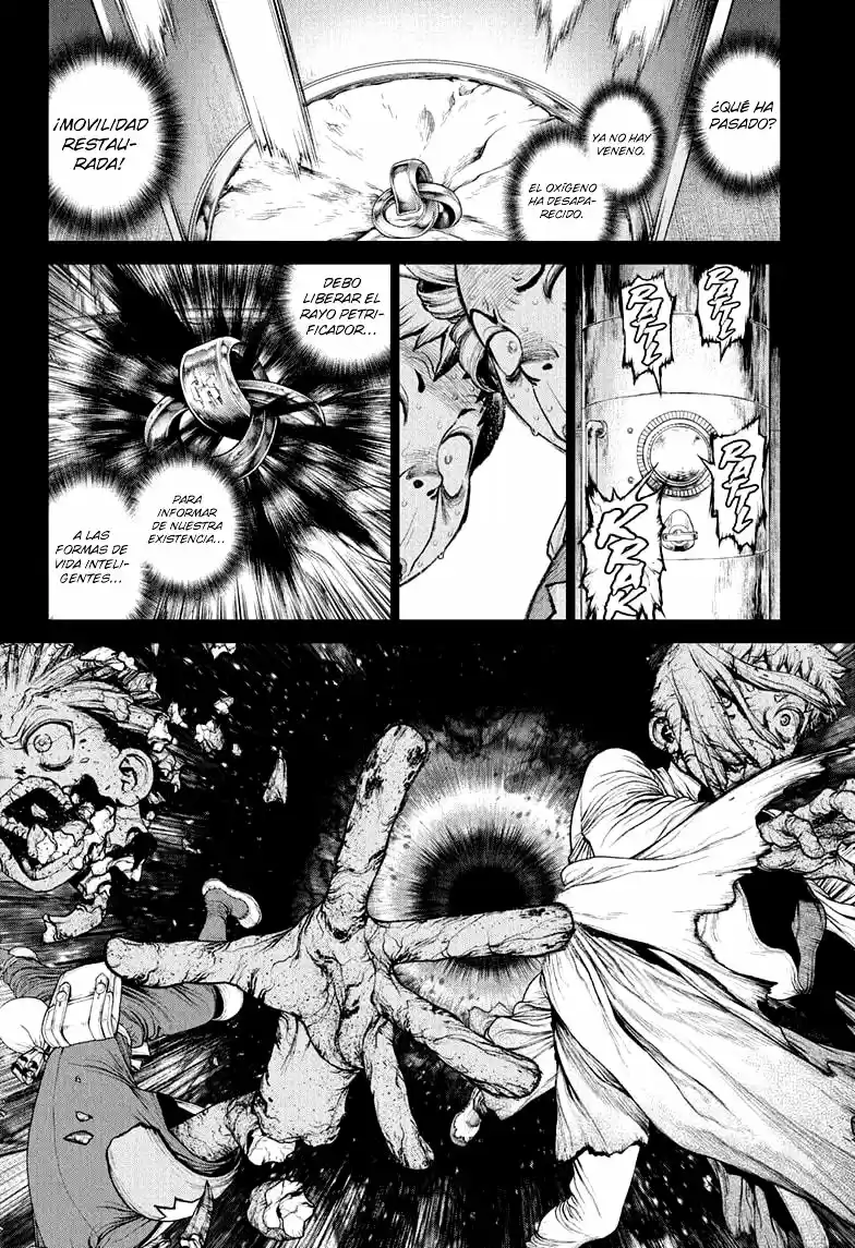 Dr.Stone capítulo 230, página 14