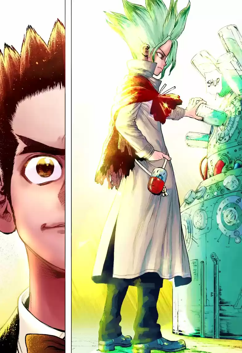 Dr.Stone capítulo 232.10, página 17