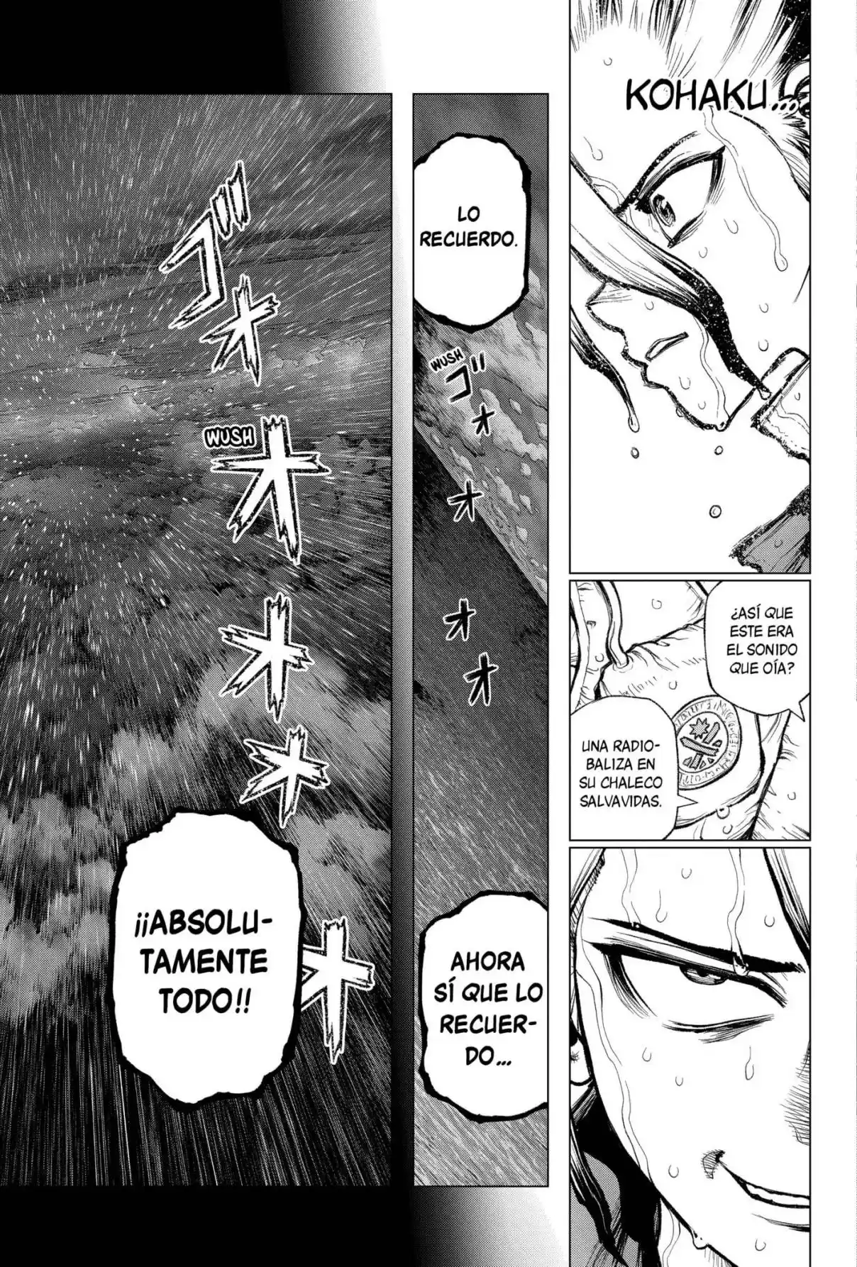 Dr.Stone capítulo 232.2, página 9
