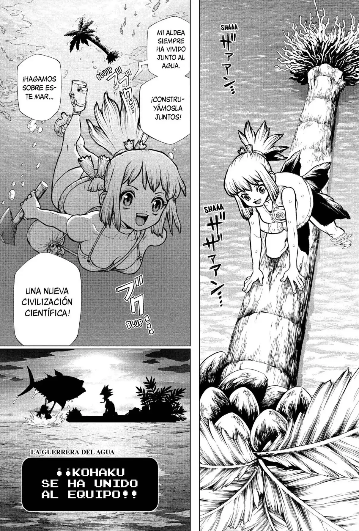 Dr.Stone capítulo 232.2, página 23