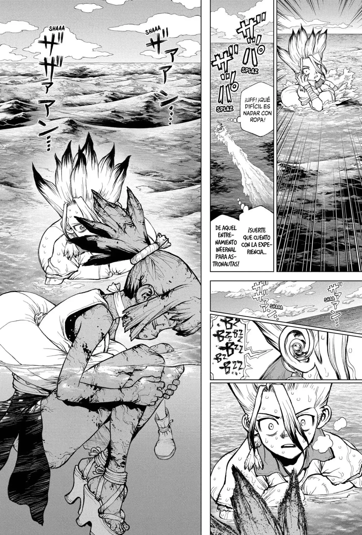 Dr.Stone capítulo 233.5, página 8