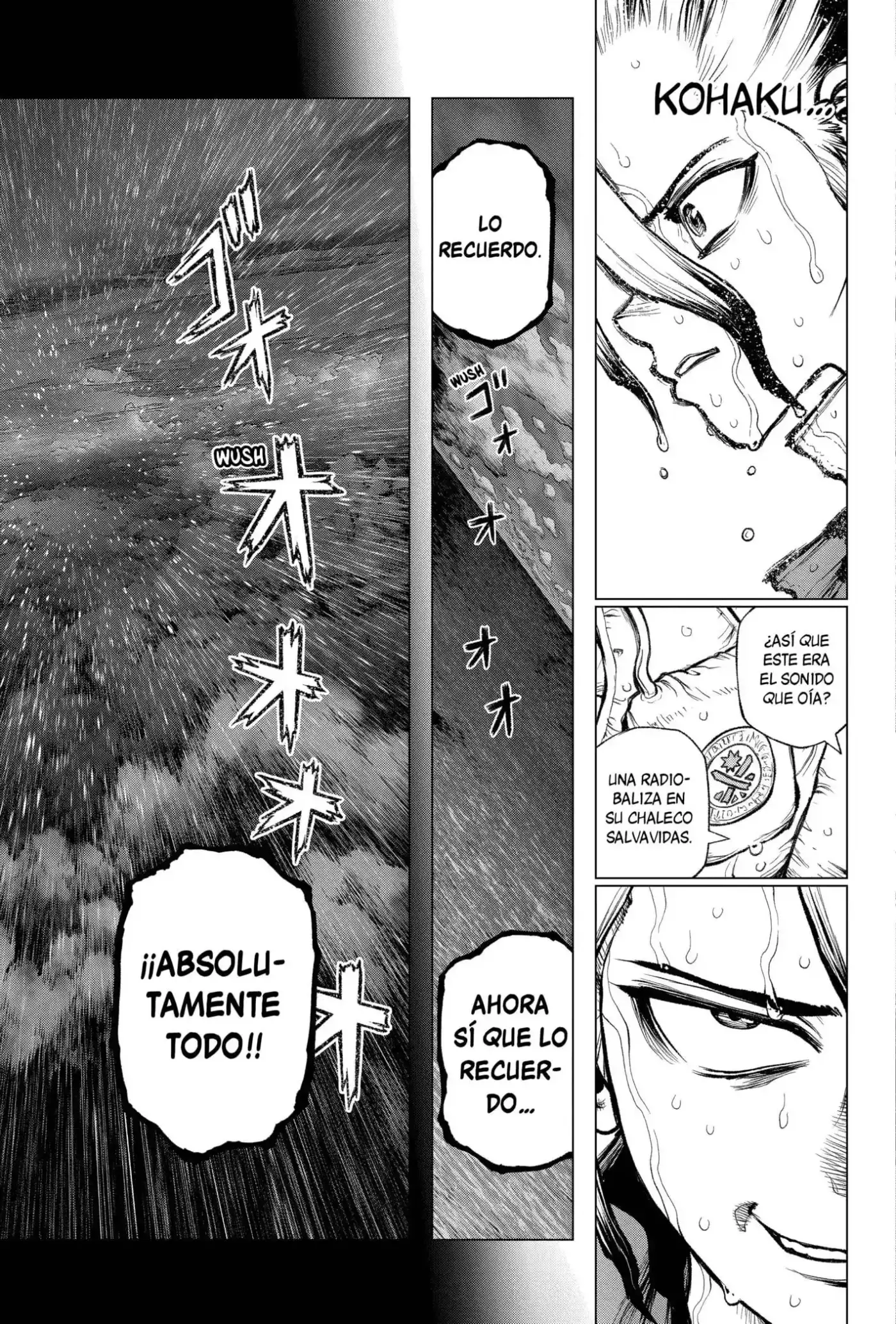 Dr.Stone capítulo 233.5, página 9