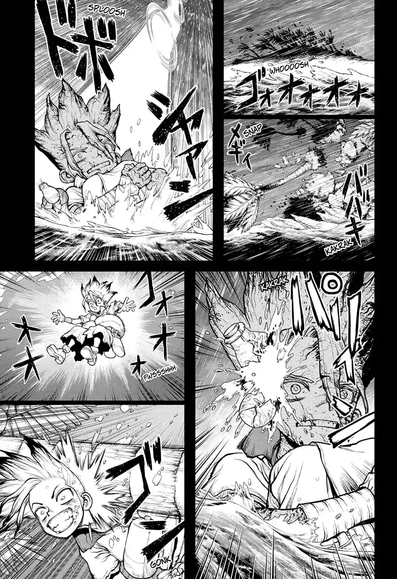 Dr.Stone capítulo 233, página 17