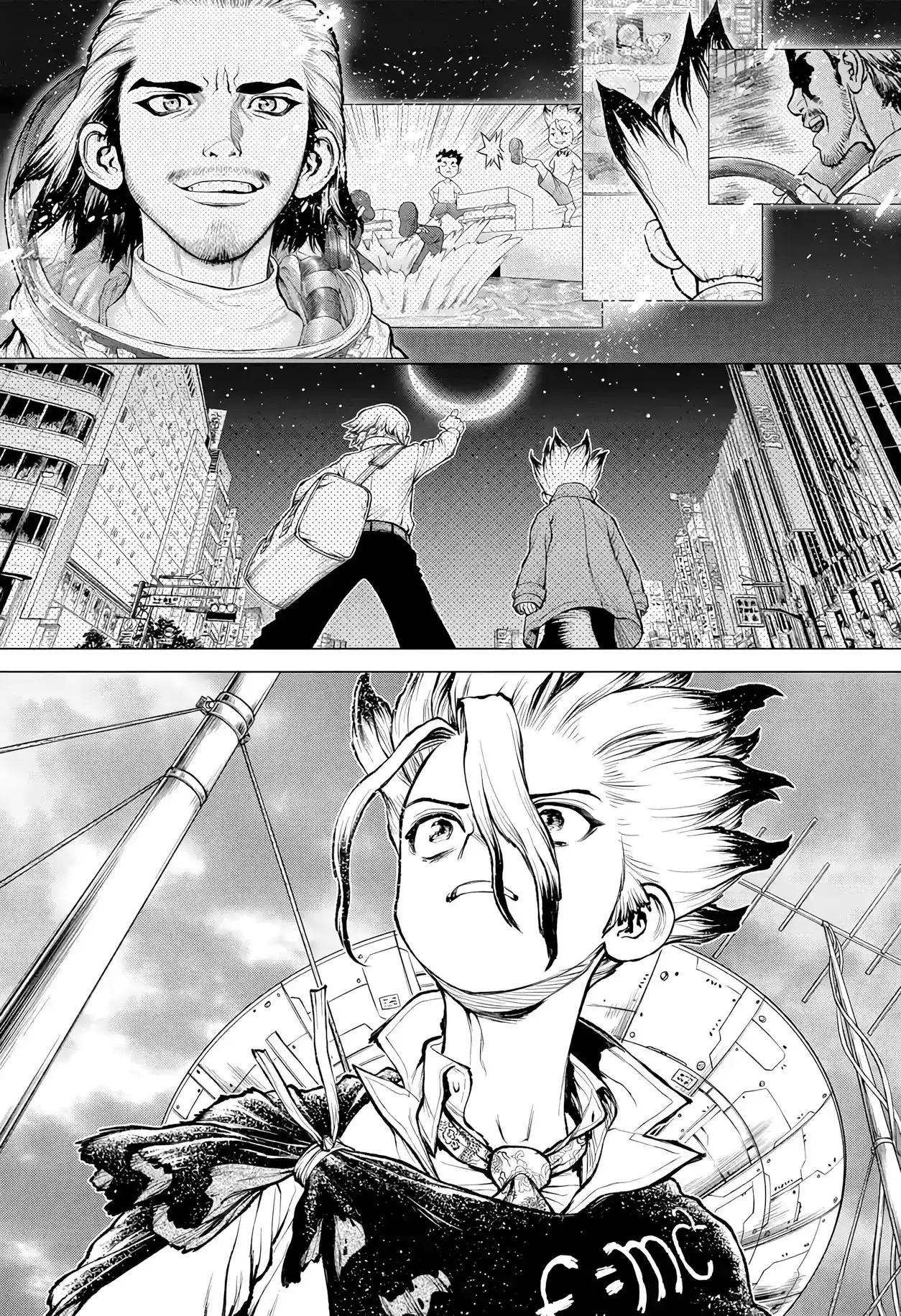 Dr.Stone capítulo 235, página 4