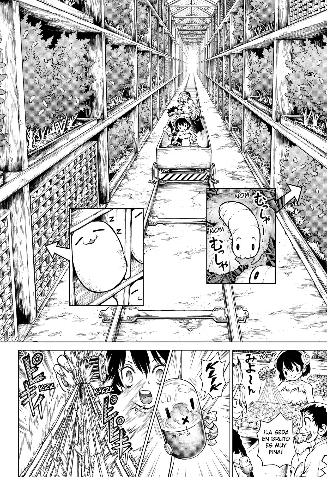 Dr.Stone capítulo 235, página 21