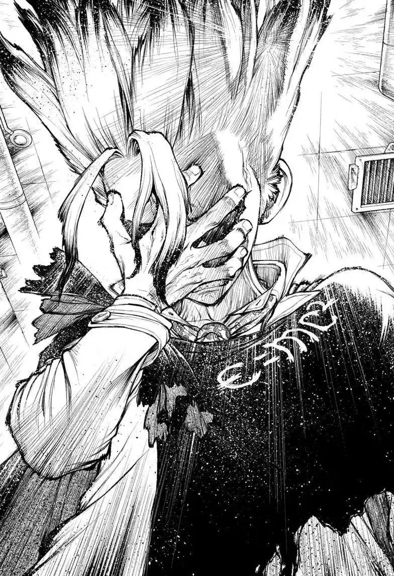 Dr.Stone capítulo 236, página 19