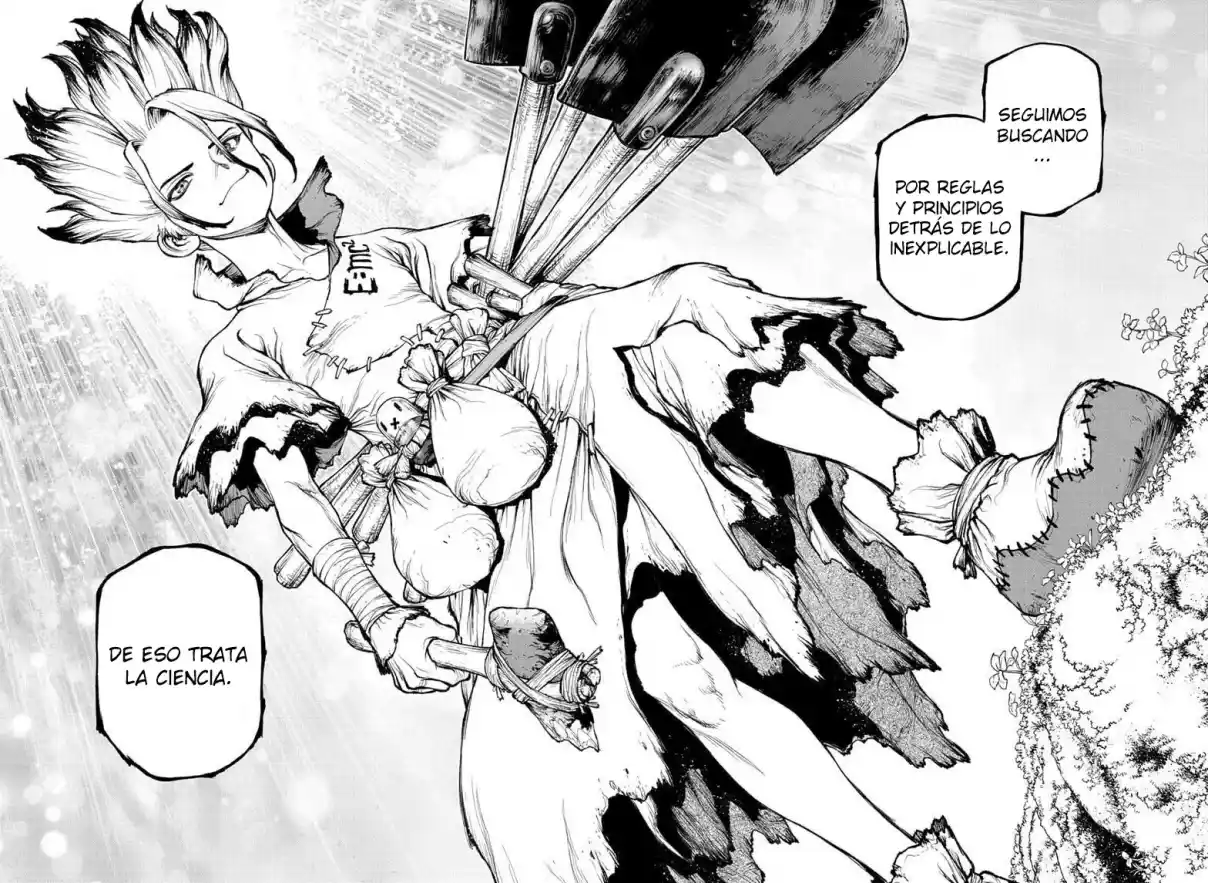 Dr.Stone capítulo 236, página 41