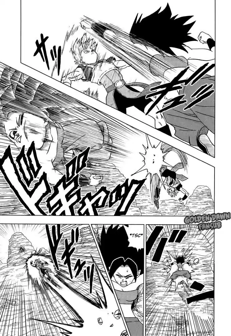 Dragon Ball Super capítulo 32, página 14