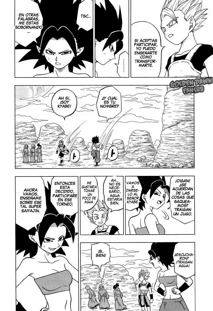 Dragon Ball Super capítulo 32, página 17