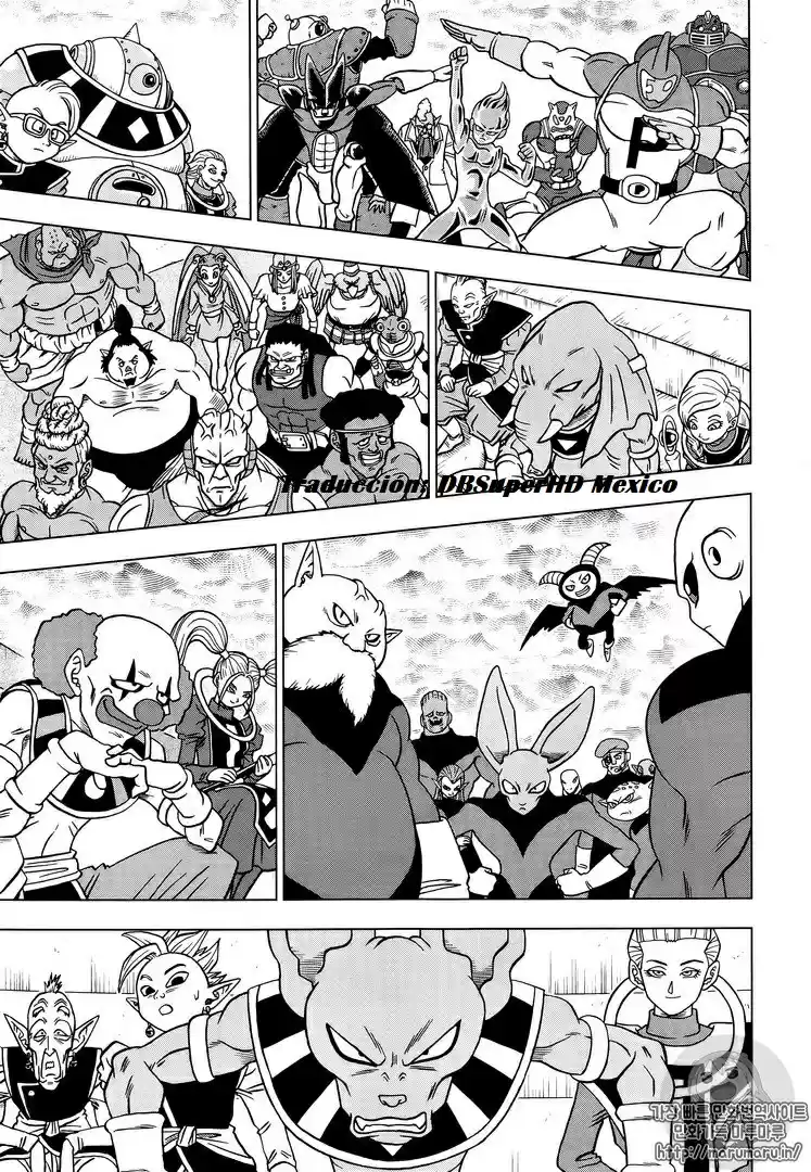 Dragon Ball Super capítulo 33, página 19