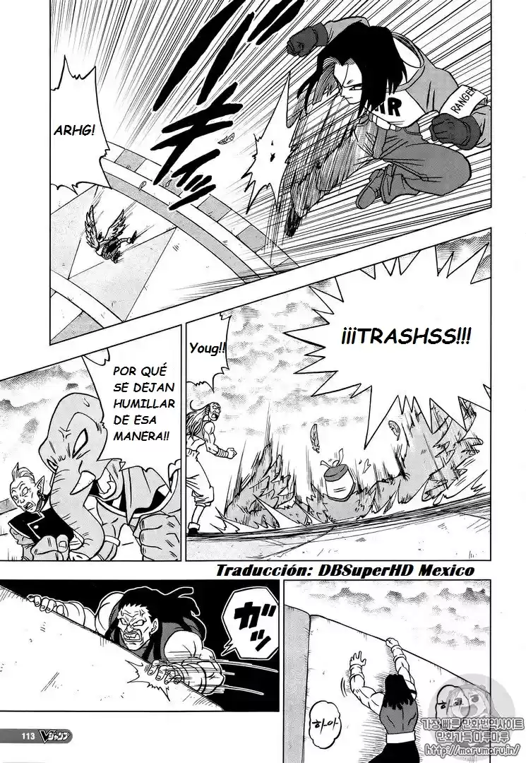 Dragon Ball Super capítulo 33, página 28