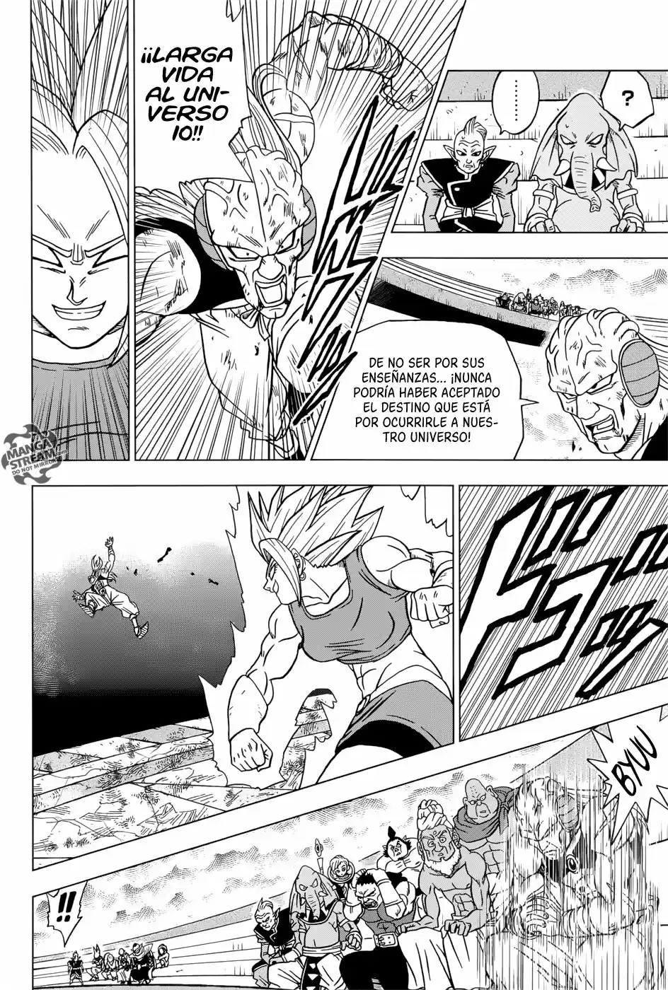 Dragon Ball Super capítulo 38, página 15