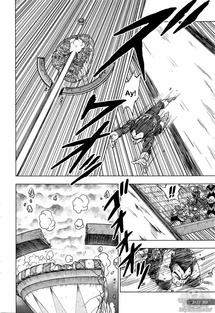 Dragon Ball Super capítulo 41, página 21