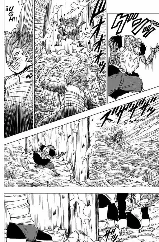 Dragon Ball Super capítulo 45, página 12