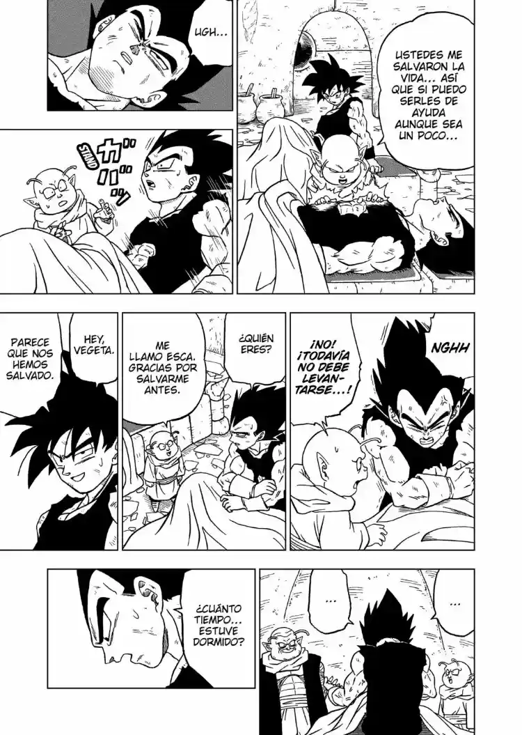 Dragon Ball Super capítulo 46, página 33