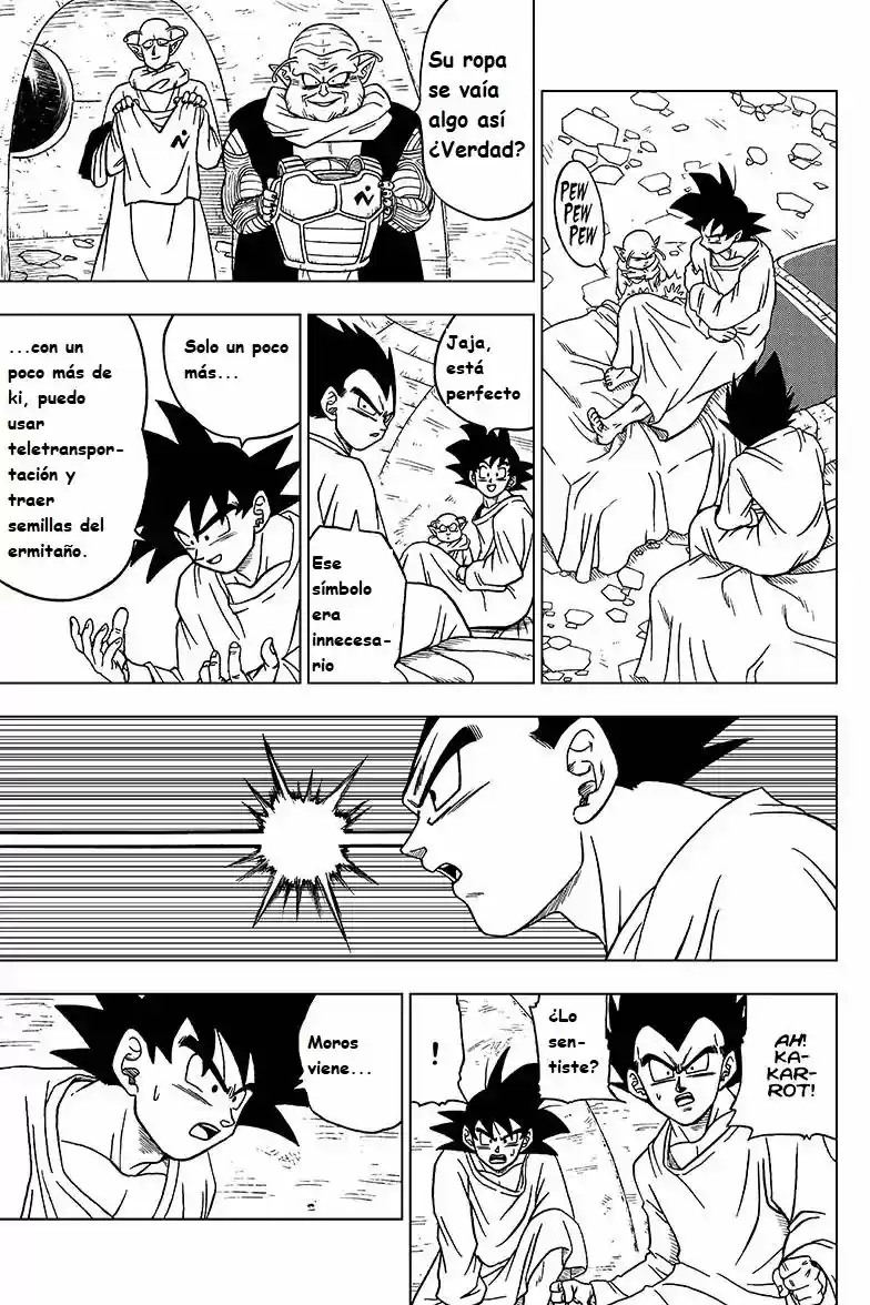 Dragon Ball Super capítulo 47, página 9