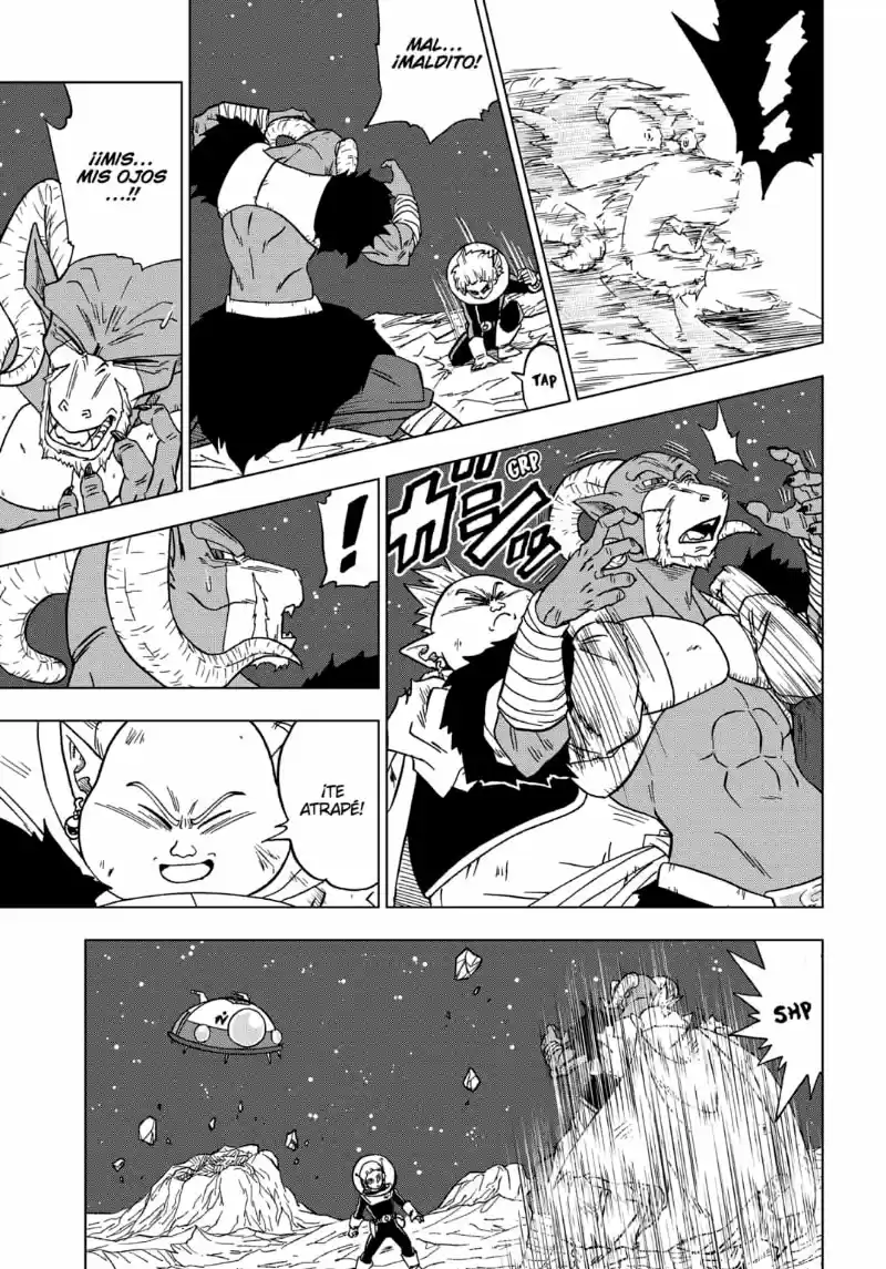 Dragon Ball Super capítulo 49, página 41