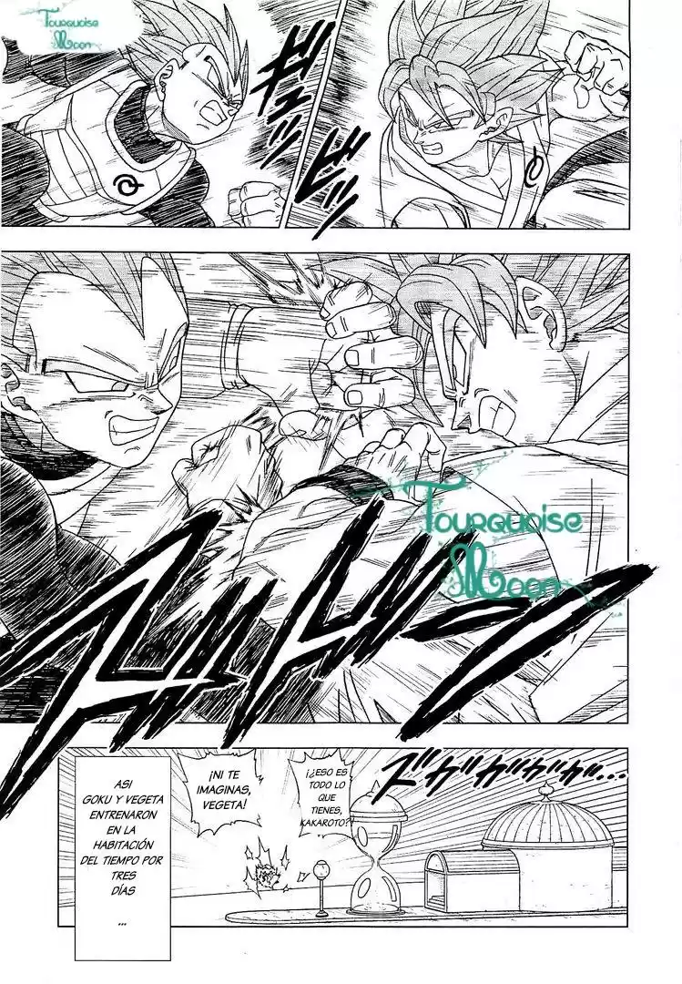 Dragon Ball Super capítulo 7, página 12
