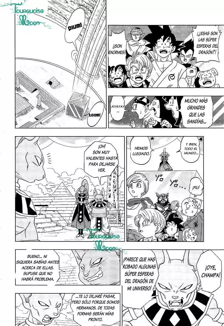Dragon Ball Super capítulo 7, página 17