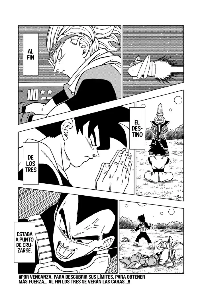 Dragon Ball Super capítulo 70, página 45