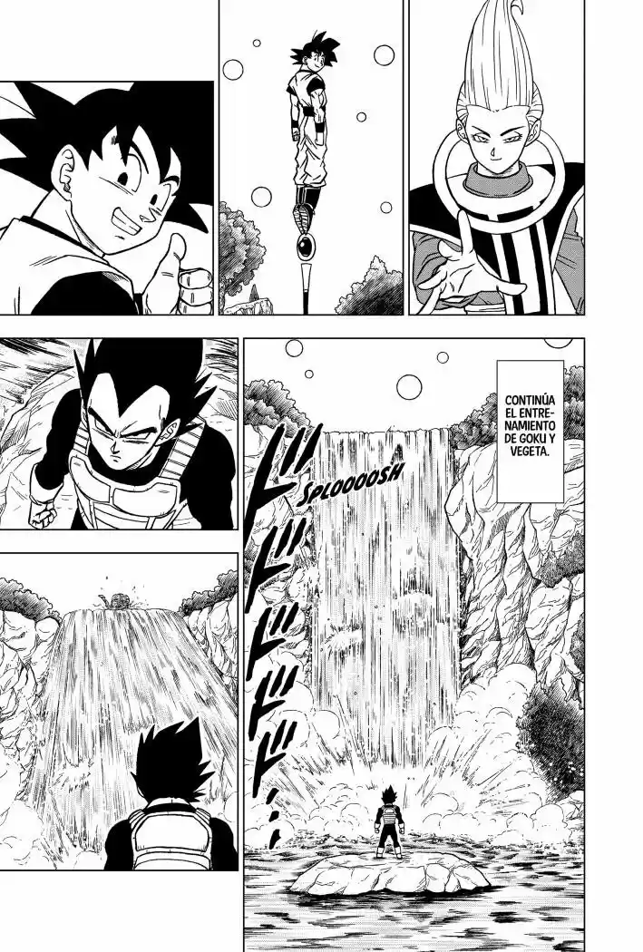 Dragon Ball Super capítulo 71, página 19
