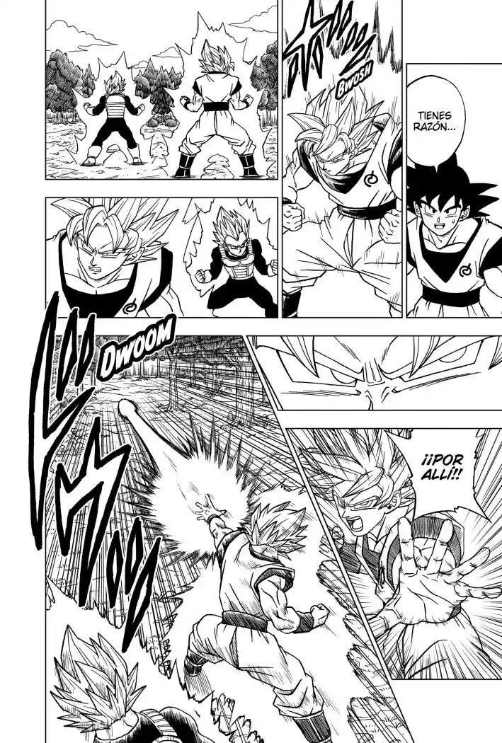 Dragon Ball Super capítulo 72, página 16