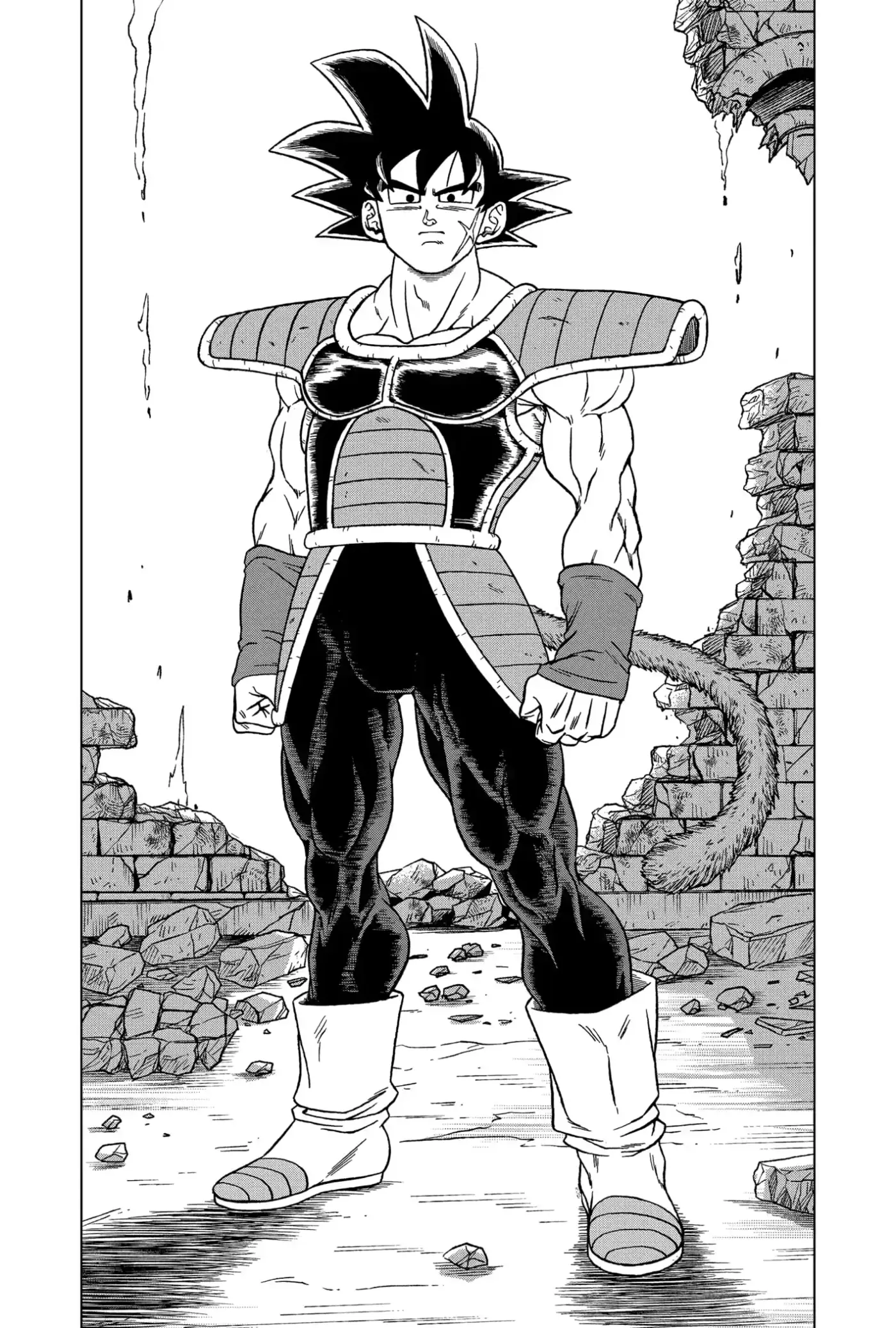 Dragon Ball Super capítulo 77, página 15