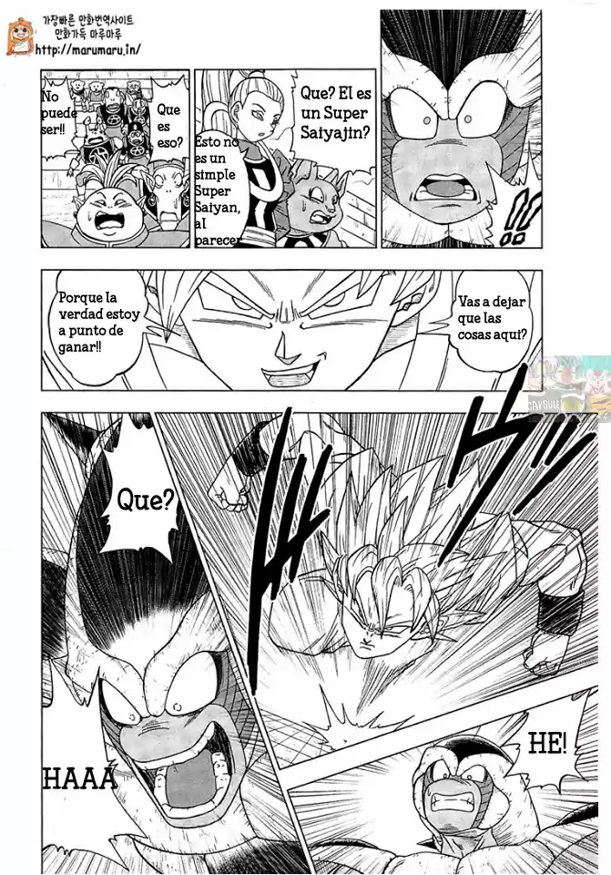 Dragon Ball Super capítulo 9, página 30