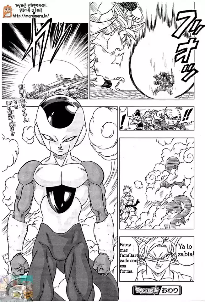 Dragon Ball Super capítulo 9, página 31