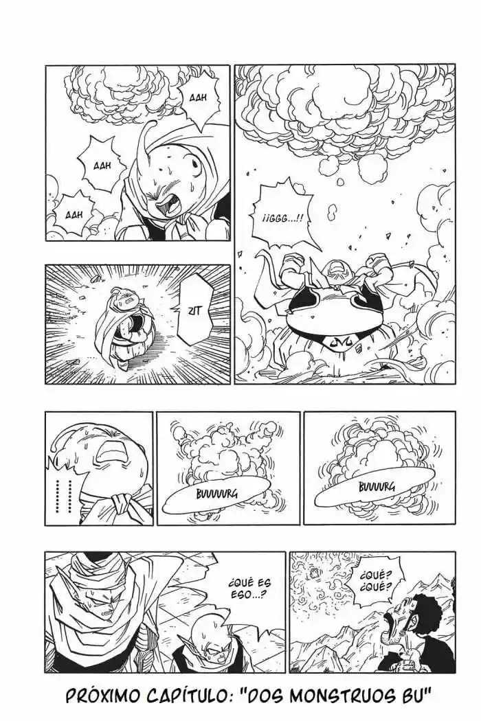 Dragon Ball capítulo 484, página 13