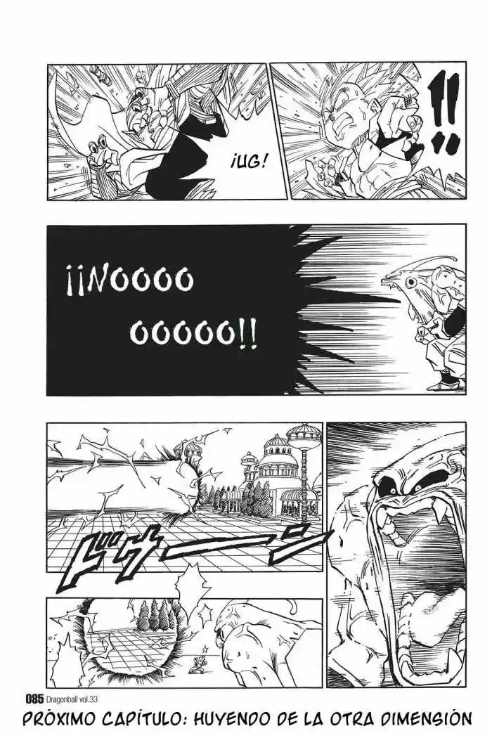 Dragon Ball capítulo 492, página 13