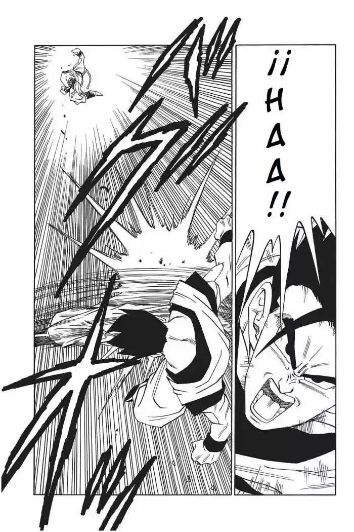 Dragon Ball capítulo 497, página 10