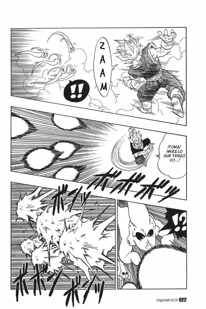 Dragon Ball capítulo 505, página 4