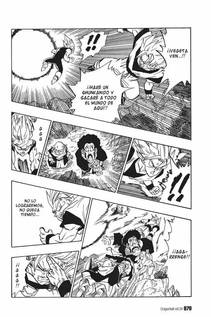 Dragon Ball capítulo 508, página 10