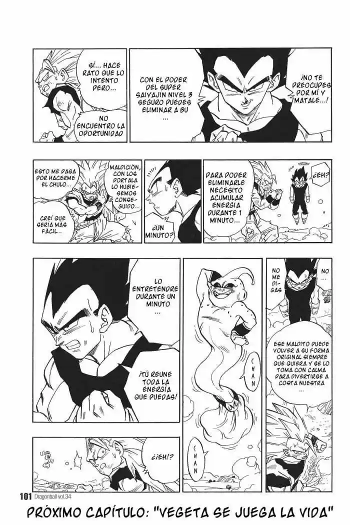 Dragon Ball capítulo 510, página 13