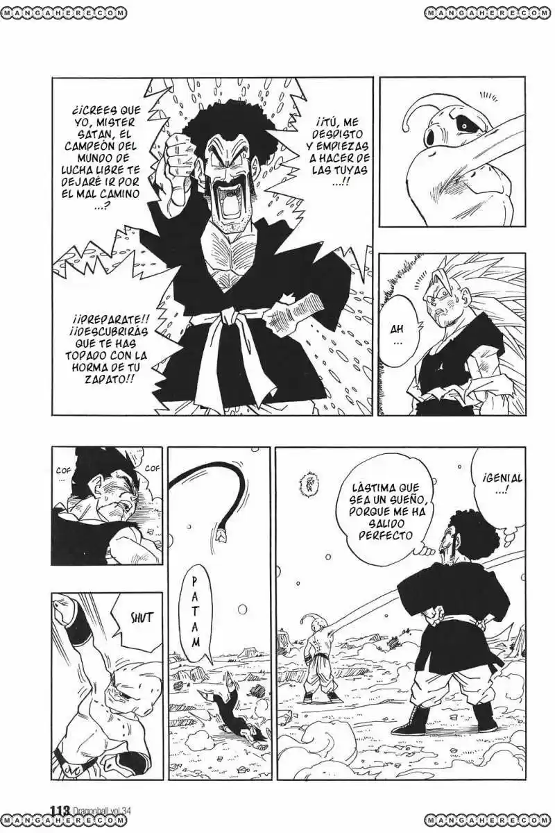 Dragon Ball capítulo 511, página 11