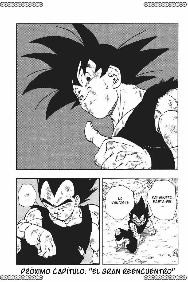 Dragon Ball capítulo 516, página 15