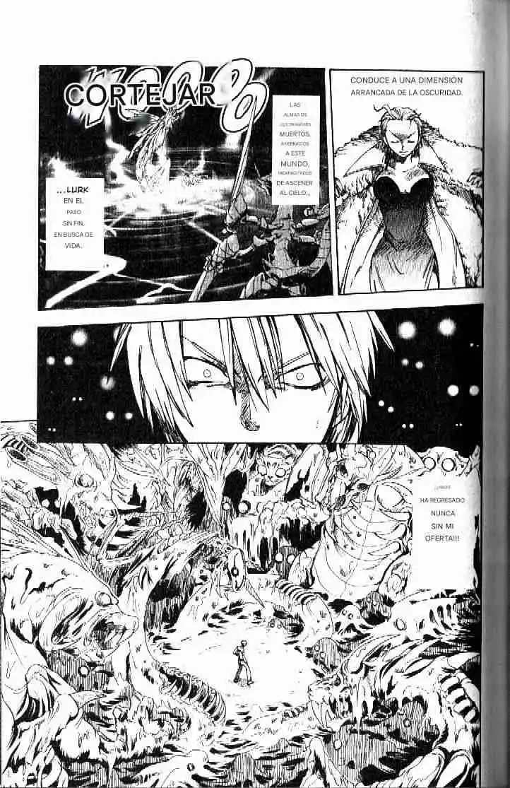 Dragon Drive capítulo 19, página 13