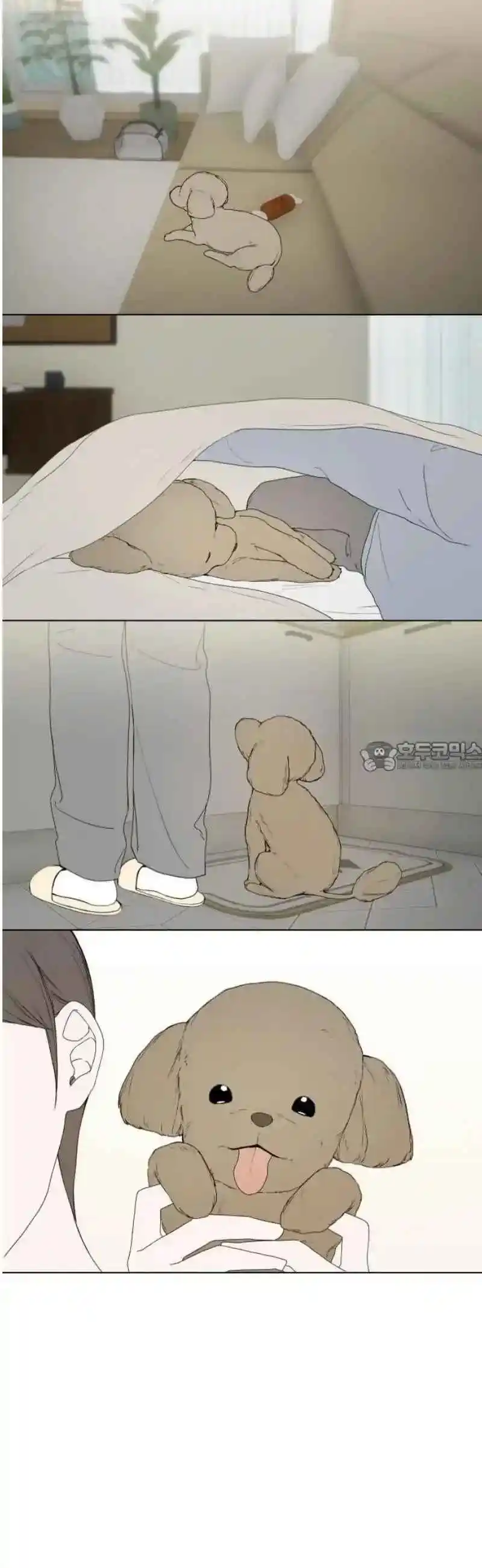 Estrella De Perro capítulo 1, página 32