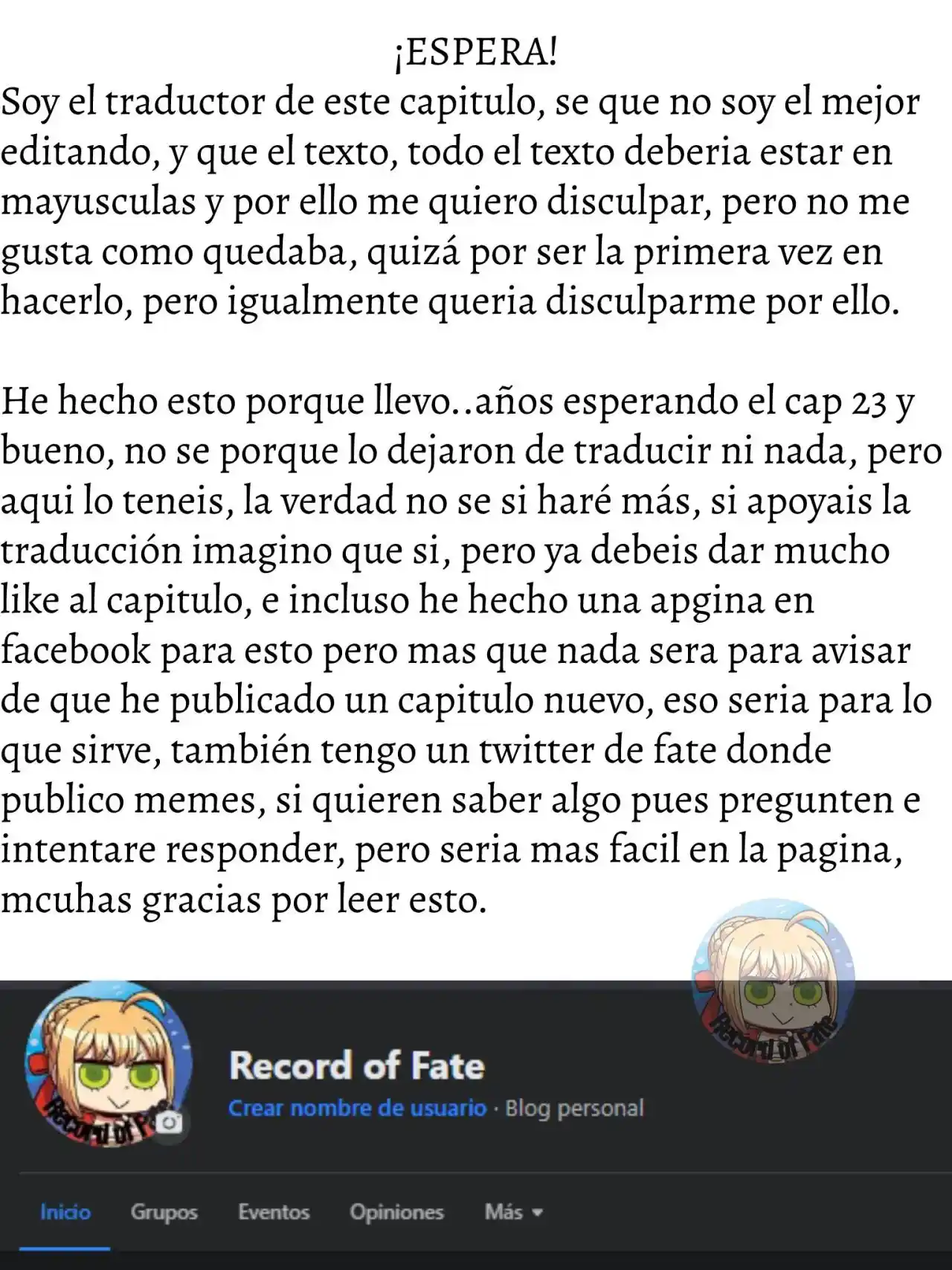 Fate/Apocrypha. capítulo 23, página 31