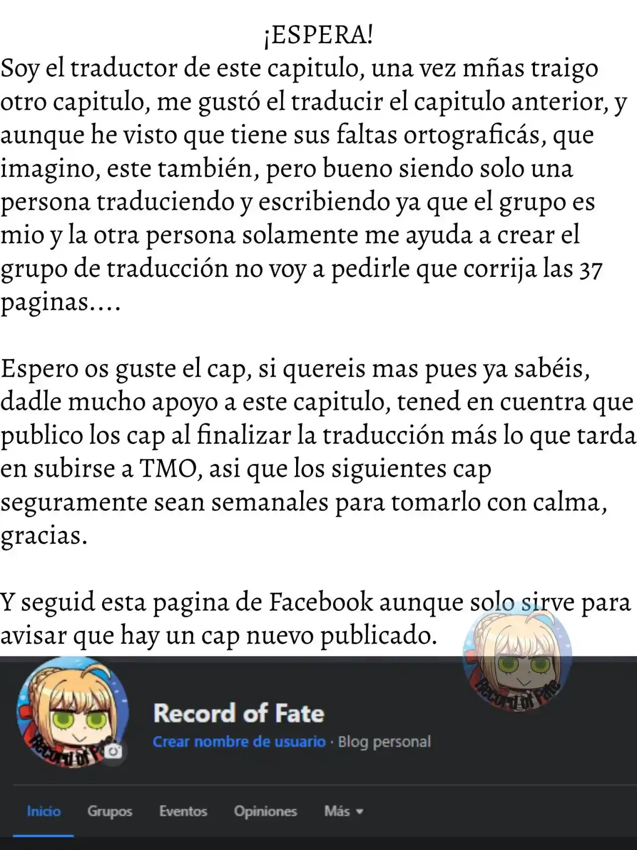 Fate/Apocrypha. capítulo 24, página 39