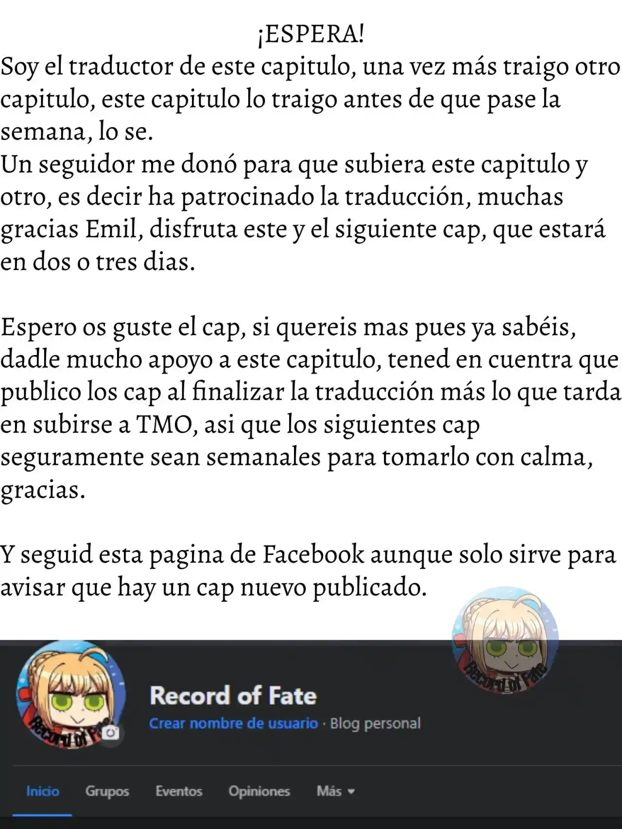 Fate/Apocrypha. capítulo 30, página 17