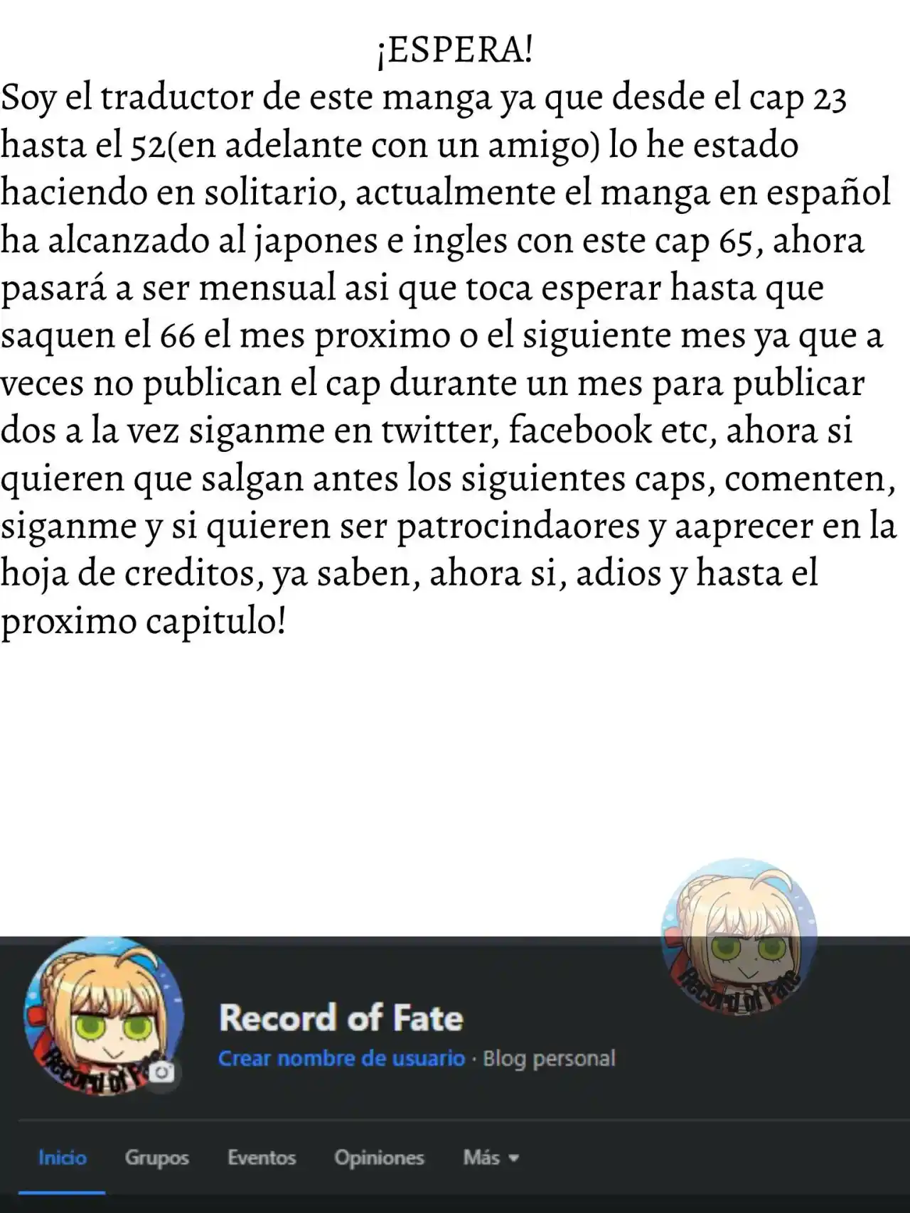 Fate/Apocrypha. capítulo 65, página 41