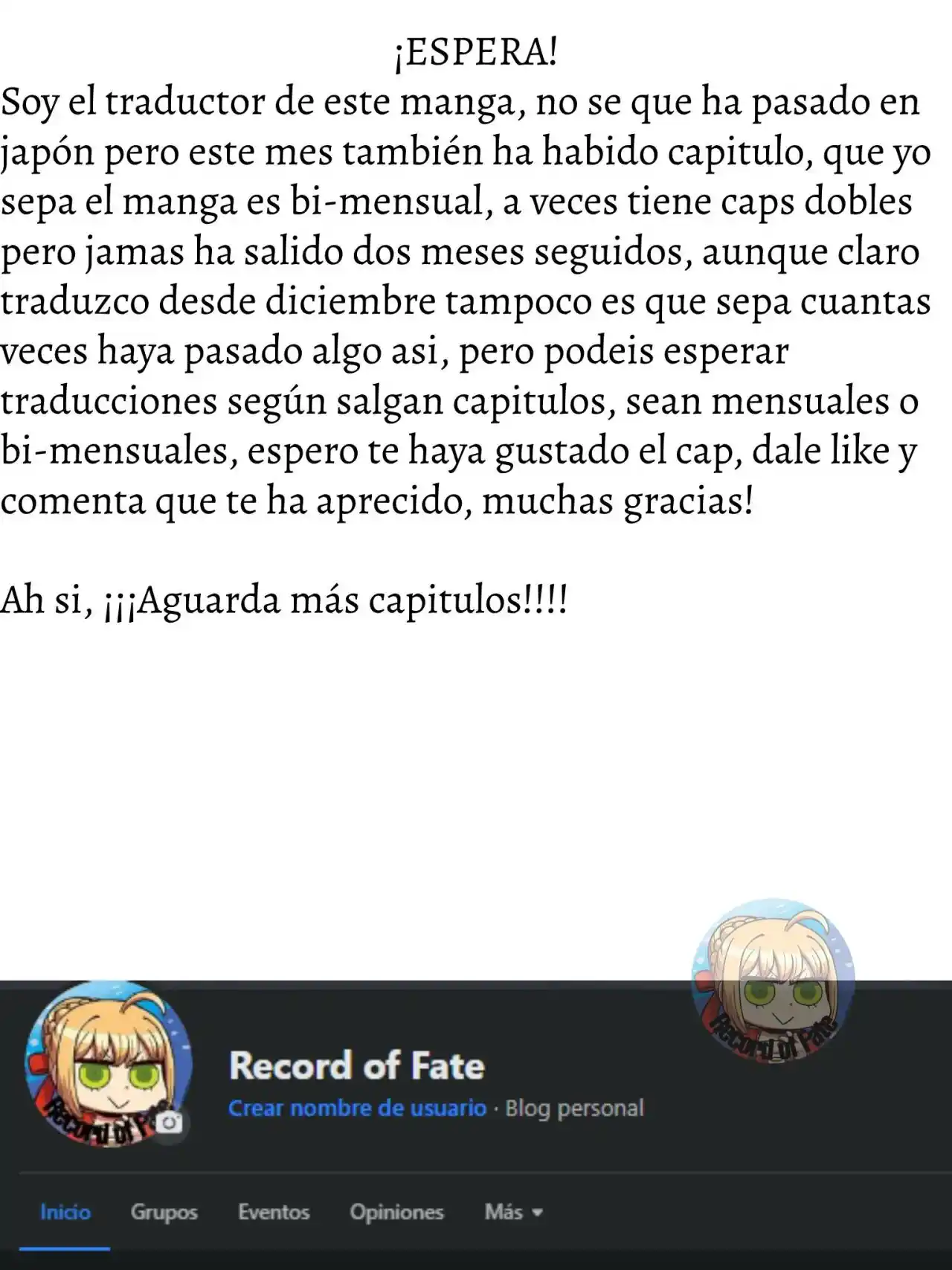 Fate/Apocrypha. capítulo 68, página 40