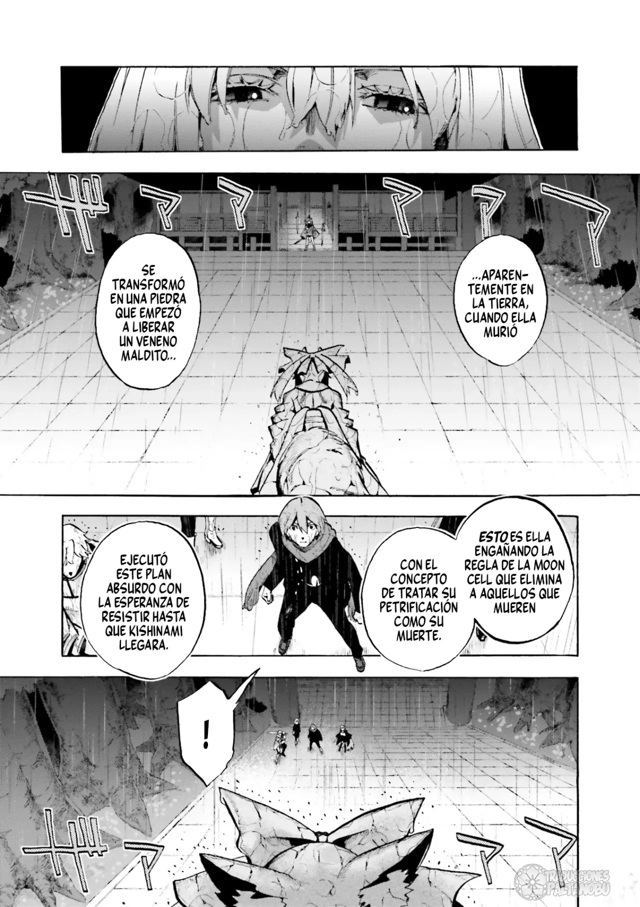 Fate Extra CCC Fox Tail capítulo 69, página 13