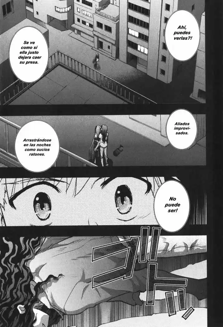 Fate Stay Night capítulo 21, página 34