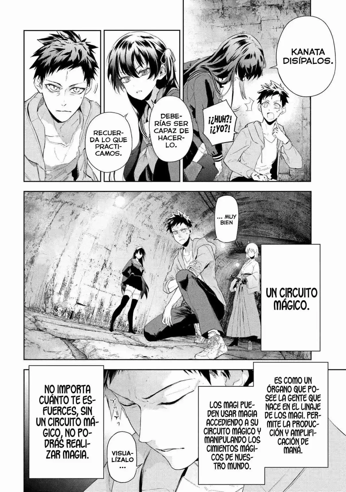 Fate/Type Redline capítulo 19.3, página 9