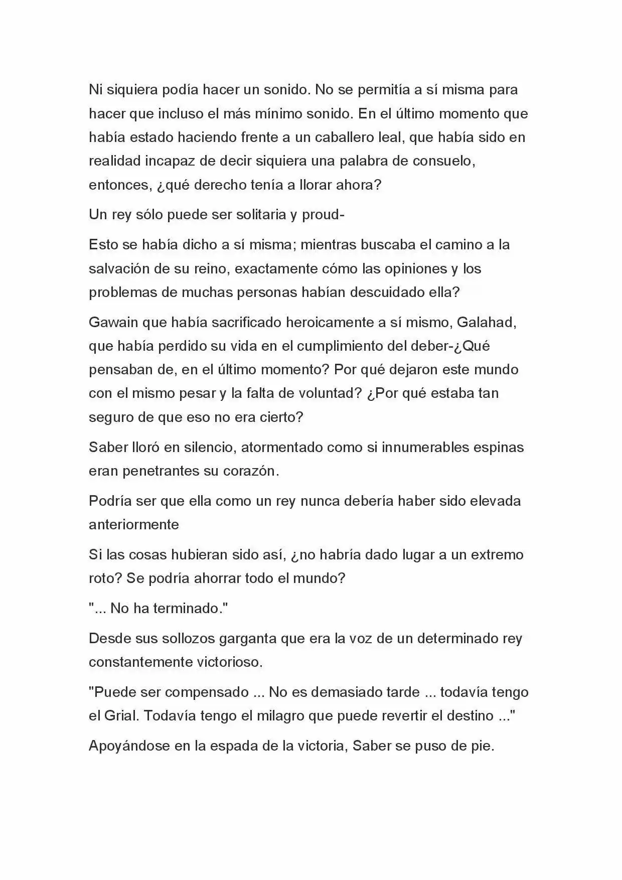 Fate Zero Novela capítulo 84, página 13