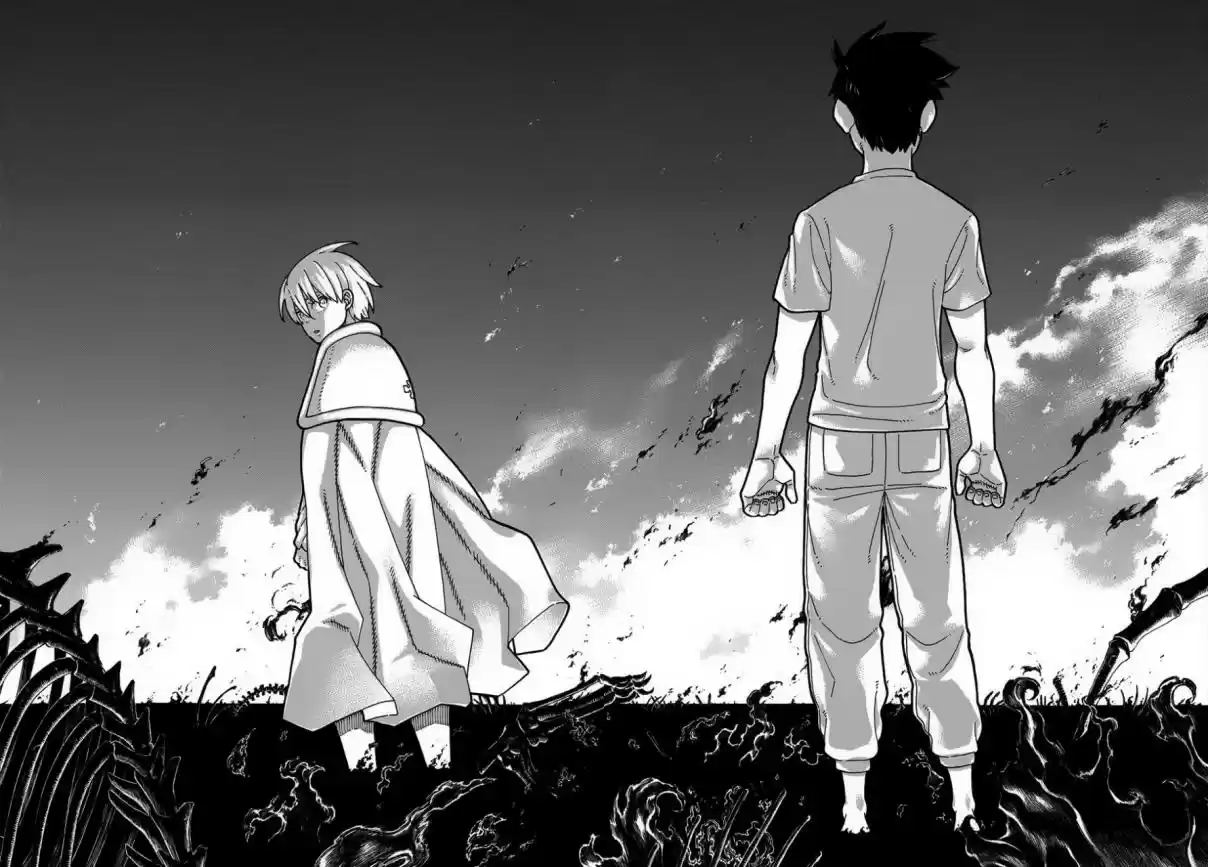 Fire Force capítulo 206, página 17