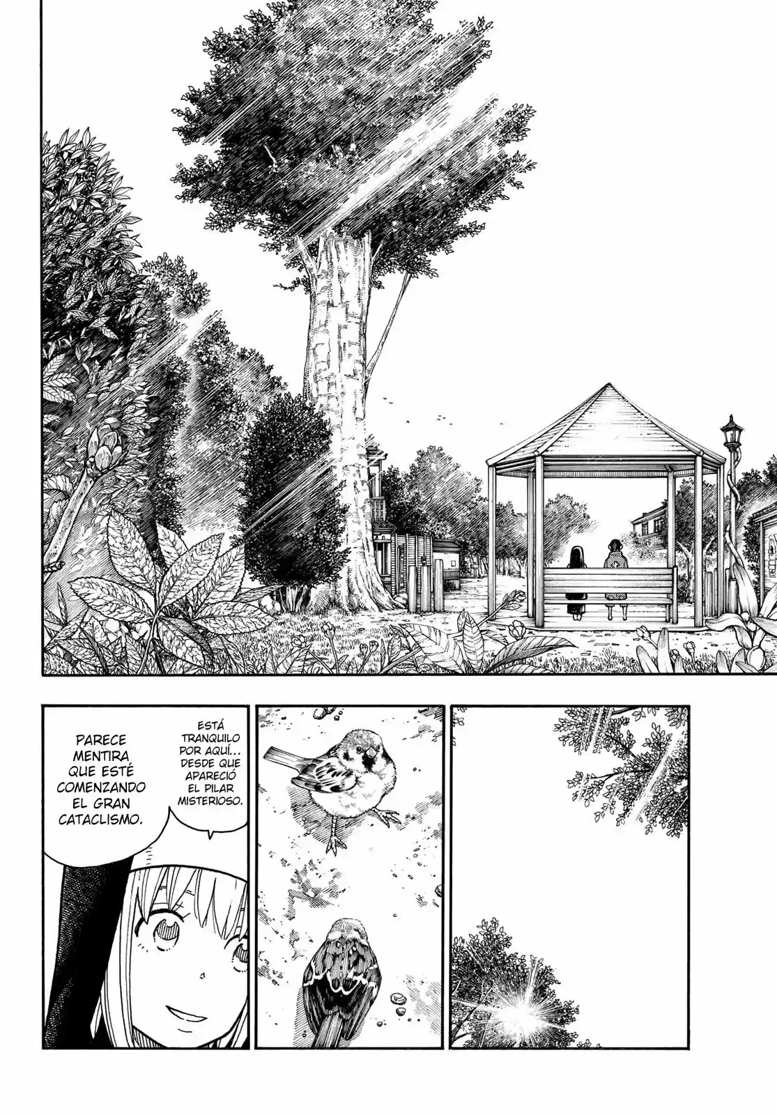 Fire Force capítulo 219, página 7